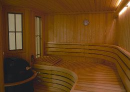 Finnleo Sauna