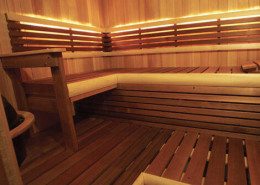 Finnleo Sauna