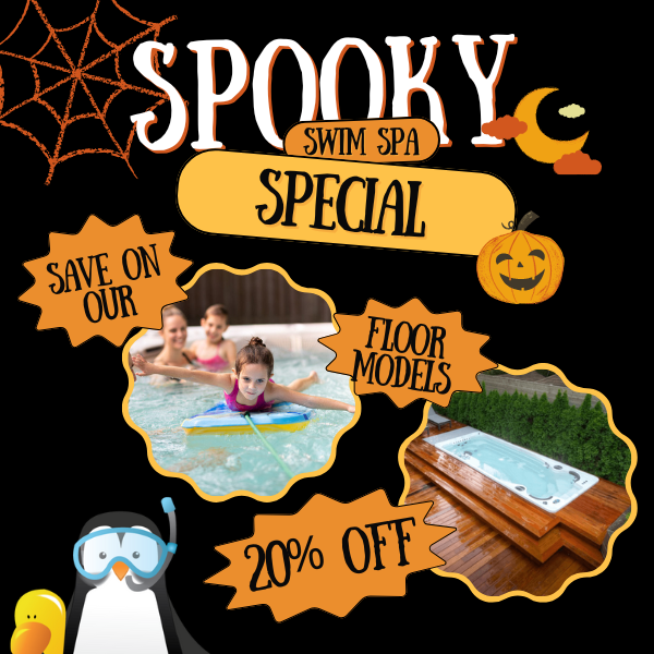 Swim Spas